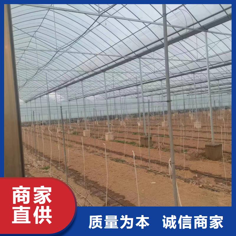 温室大棚,热镀锌螺旋地桩为品质而生产