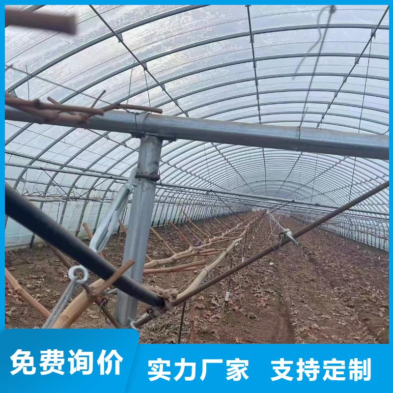 温室大棚养殖大棚建设品质保障价格合理
