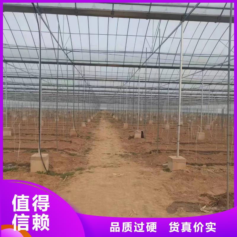 连栋温室制作安装