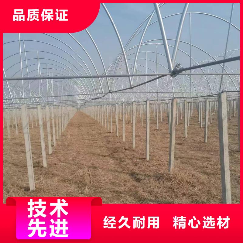 连栋温室制作安装
