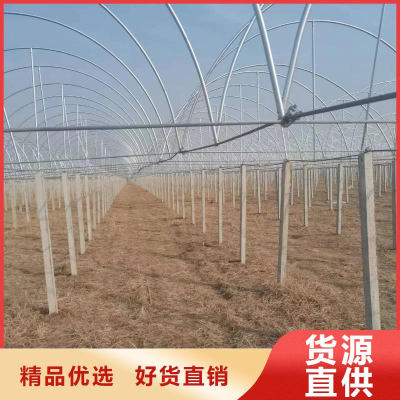 【温室大棚】-光伏车棚制作品质好才是硬道理