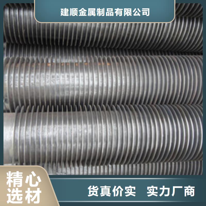 东方市大型光排管散热器现货价格