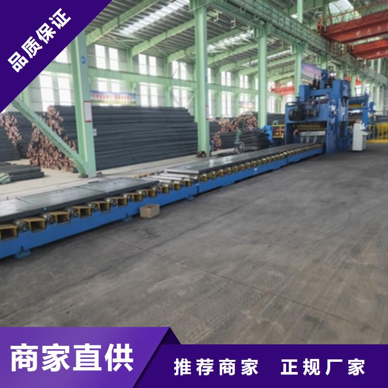 QSTE460TM热轧酸洗板可定制