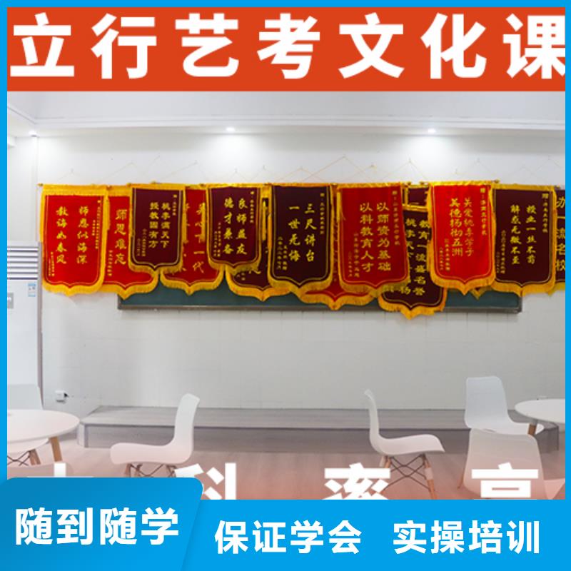 艺体生文化课开始招生了吗