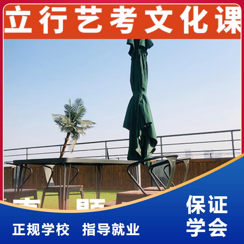 艺体生文化课开始招生了吗