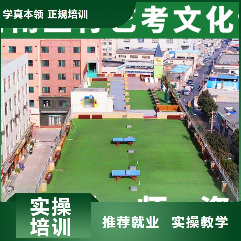 艺体生文化课开始招生了吗