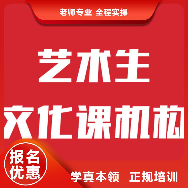 艺考文化课,高中一对一辅导免费试学