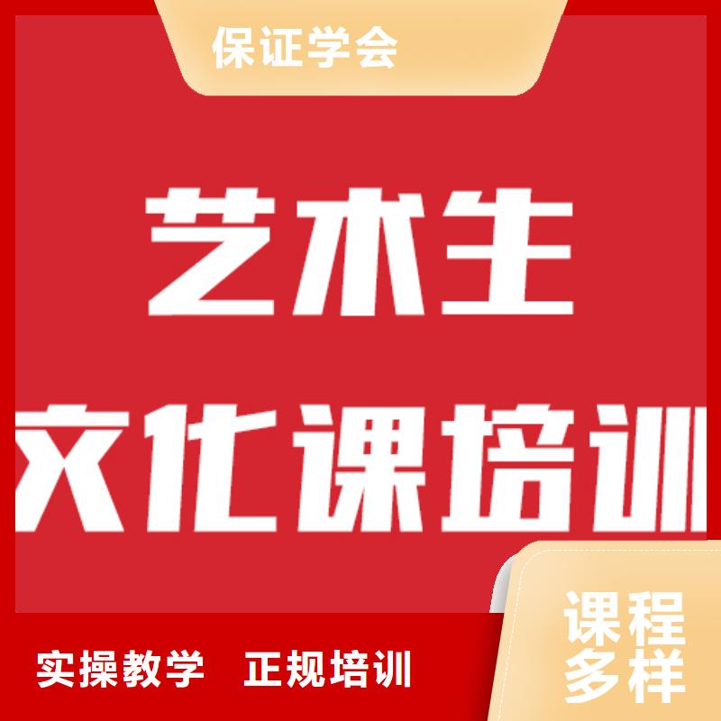 艺考生文化课高考复读白天班师资力量强