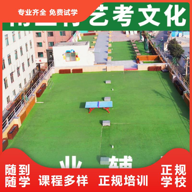 艺考生文化课高考志愿一对一指导师资力量强