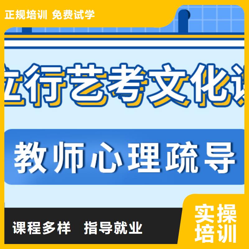 艺术生文化课冲刺有没有靠谱的亲人给一下的