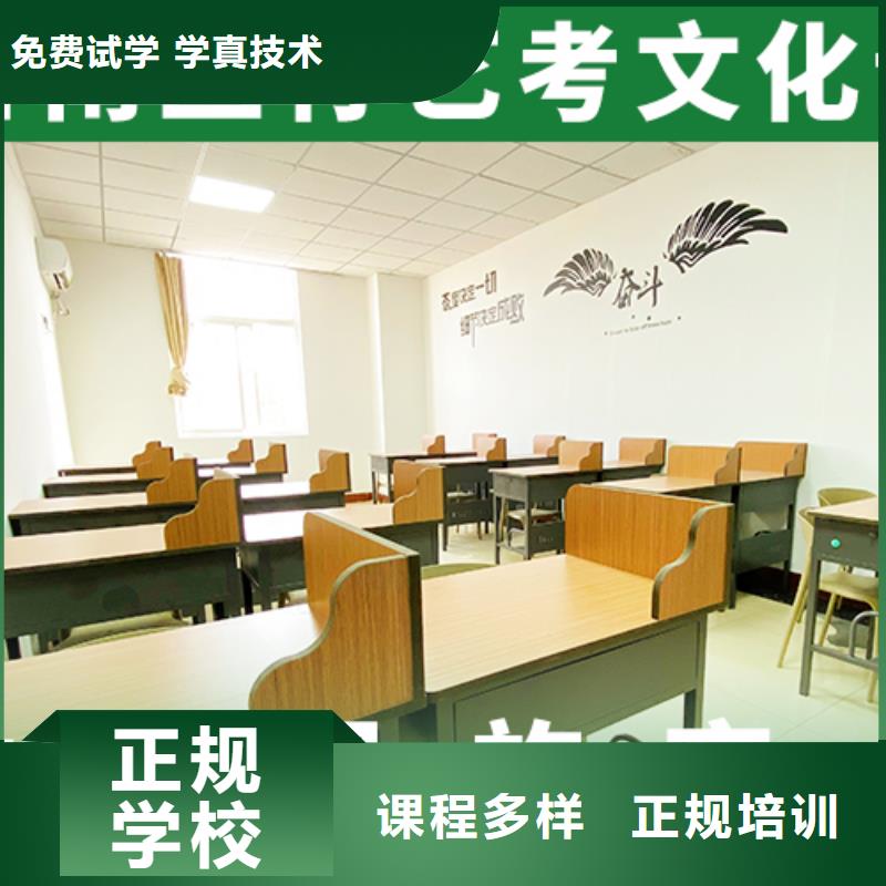 【艺考文化课学校,艺考培训理论+实操】