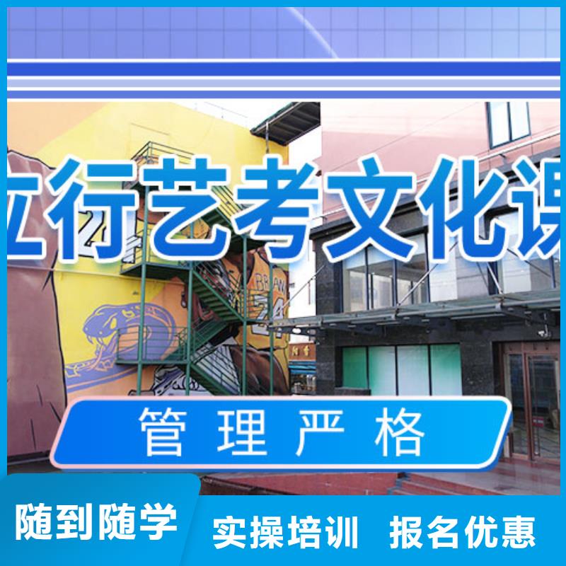艺考文化课辅导艺考文化课集训班老师专业