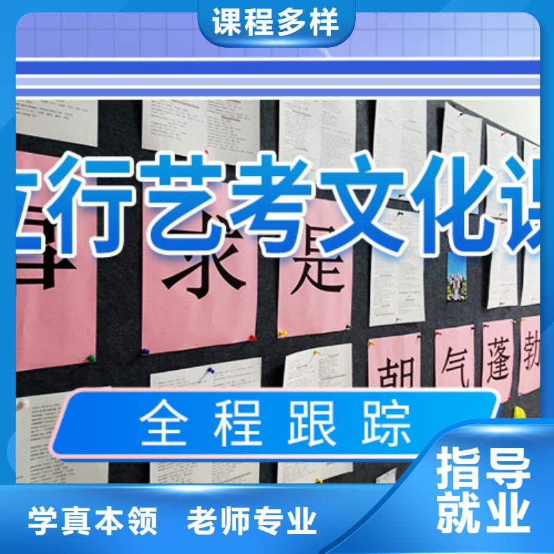 艺考文化课辅导艺考文化课集训班老师专业