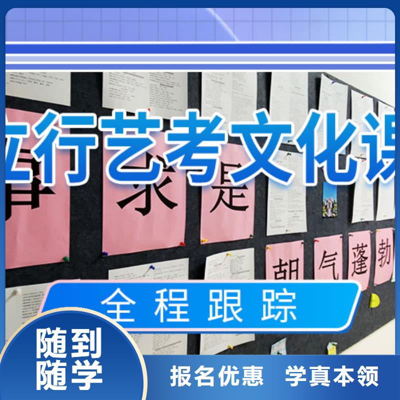 艺考文化课辅导艺考文化课集训班老师专业