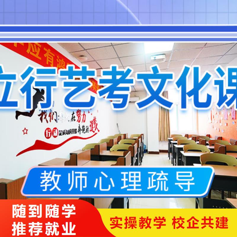 艺考文化课辅导艺考文化课集训班老师专业