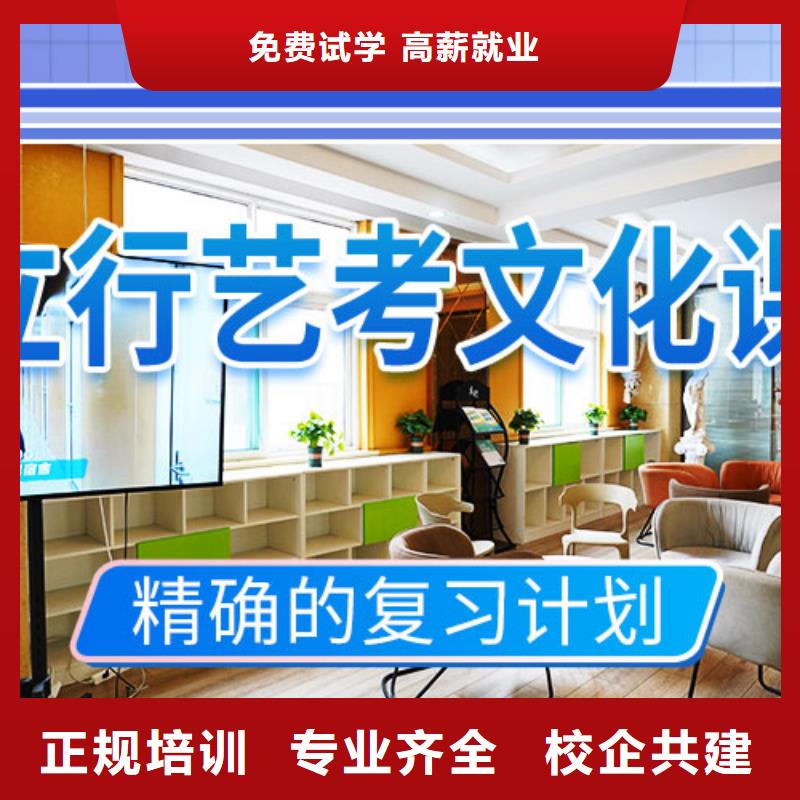 艺考文化课辅导艺考文化课集训班老师专业
