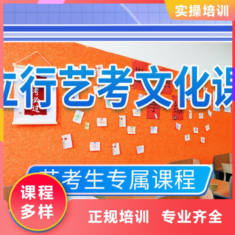 艺考文化课辅导艺考文化课集训班老师专业