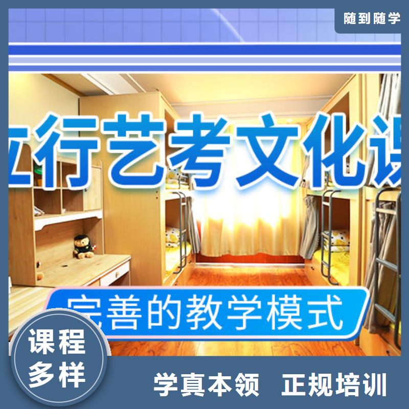 艺考生文化课补习机构有哪些