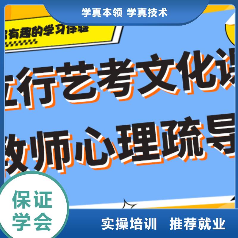 艺术生文化课培训学校排行艺考生文化课专用教材