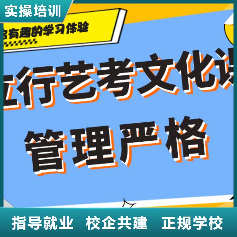 艺术生文化课培训学校排行艺考生文化课专用教材