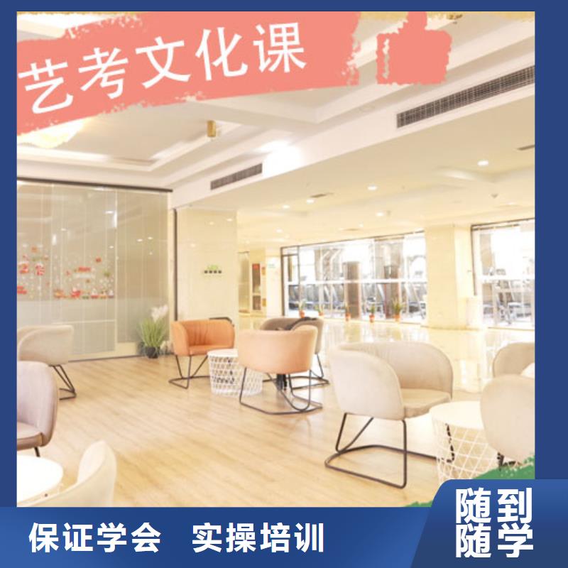 艺术生文化课培训学校排行艺考生文化课专用教材