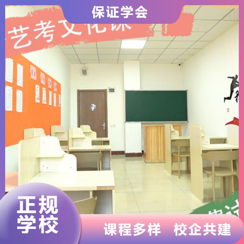 艺术生文化课培训学校排行艺考生文化课专用教材