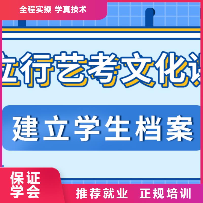 艺术生文化课补习学校哪里好艺考生文化课专用教材