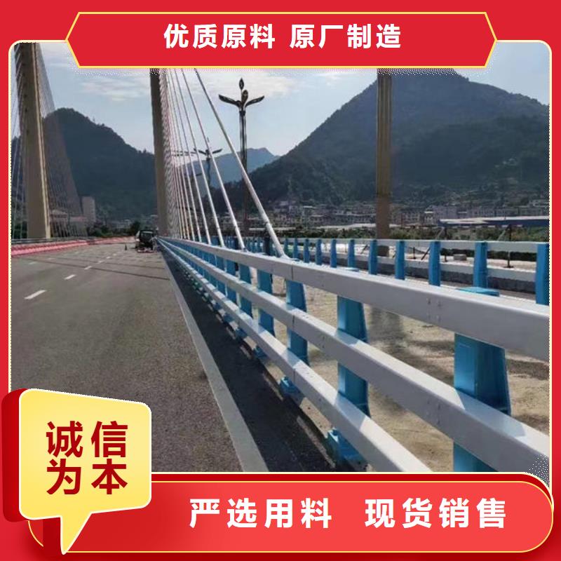 在线报价不锈钢防撞护栏护栏