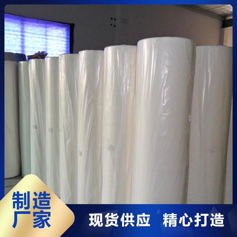 质量优的信泰源窗帘用无纺布供货商