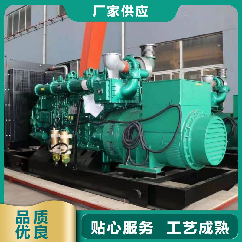 200KW发电机出租租赁400KW发电机电缆线出租UPS电源出租300KW发电机出租多家服务案例