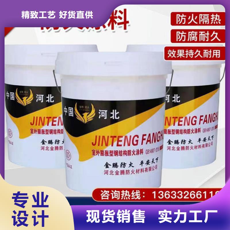 钢结构防火涂料实体大厂