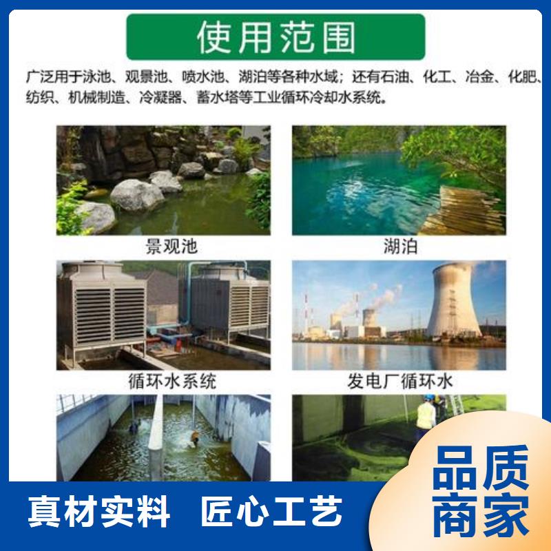杀菌灭藻剂固体PAC极速发货