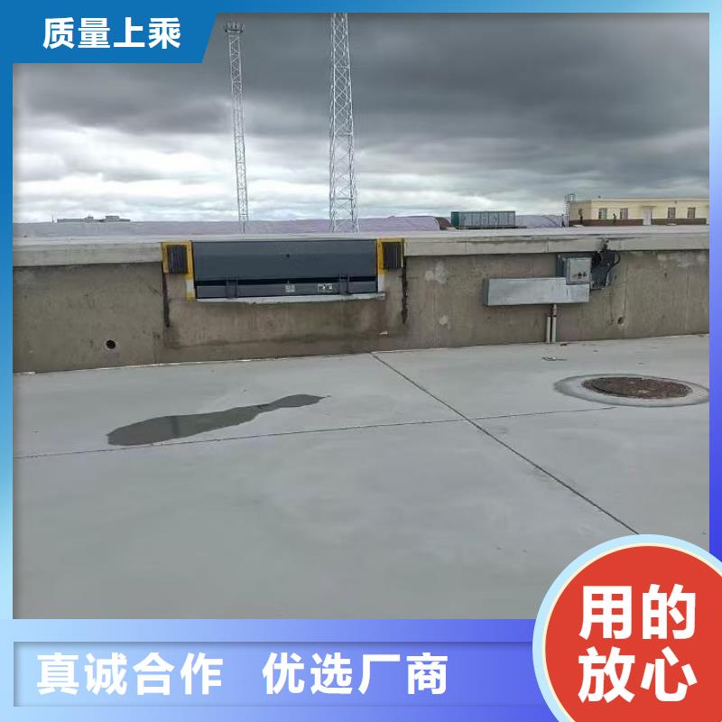 月台登车桥公司