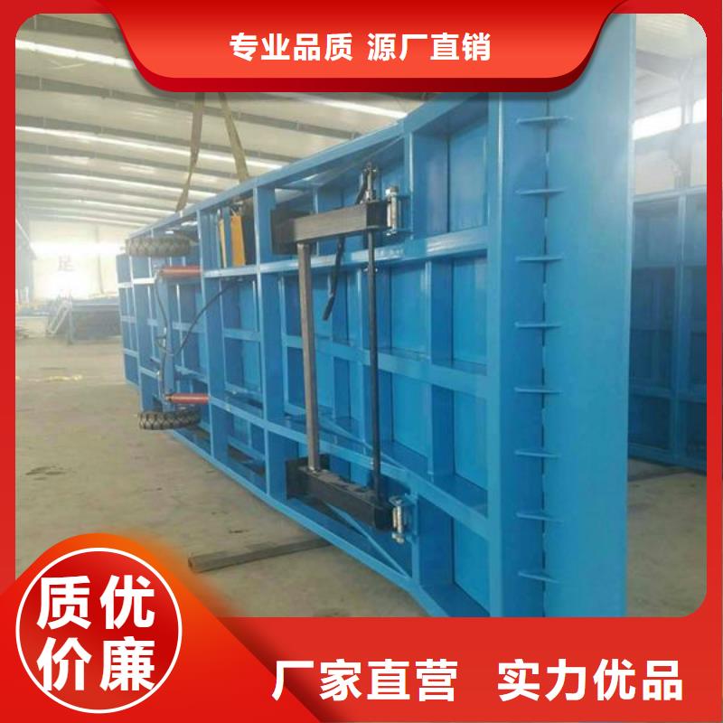 液压移动登车桥订制