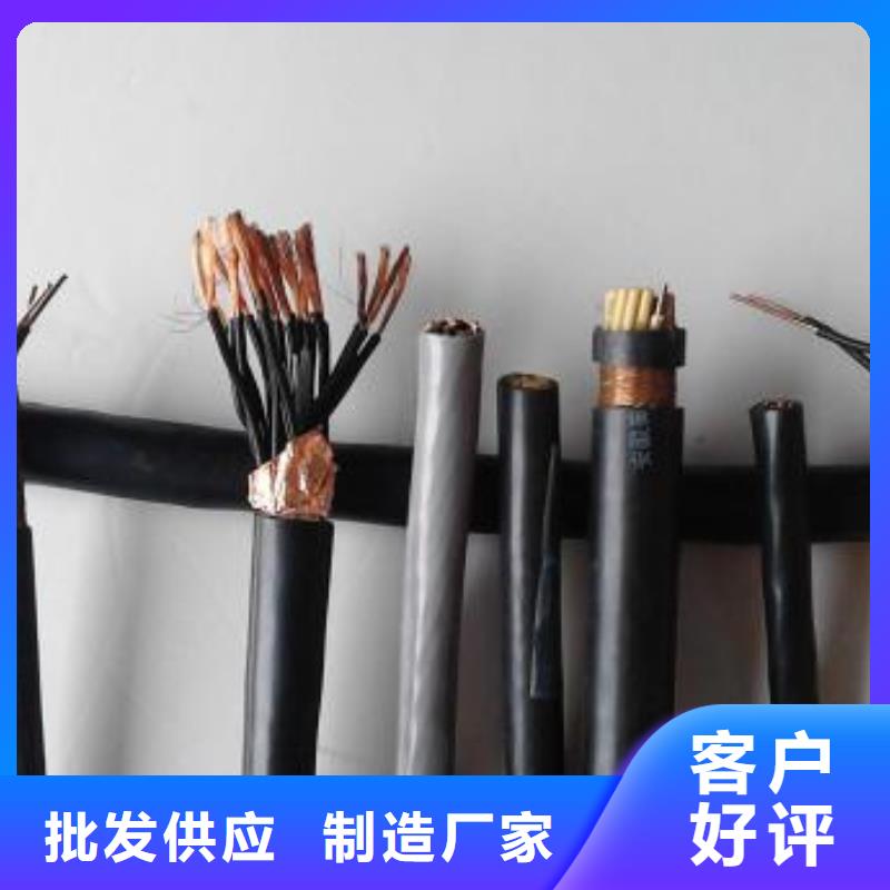 电线电缆PTYA23电缆海量现货直销