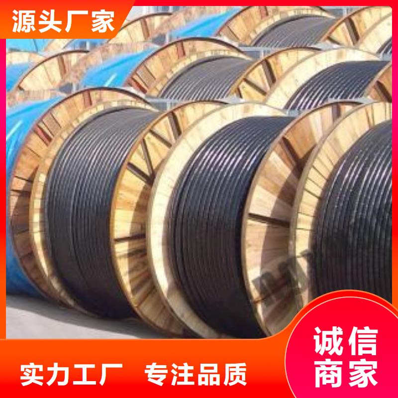 电线电缆_KVV22电缆现货满足大量采购