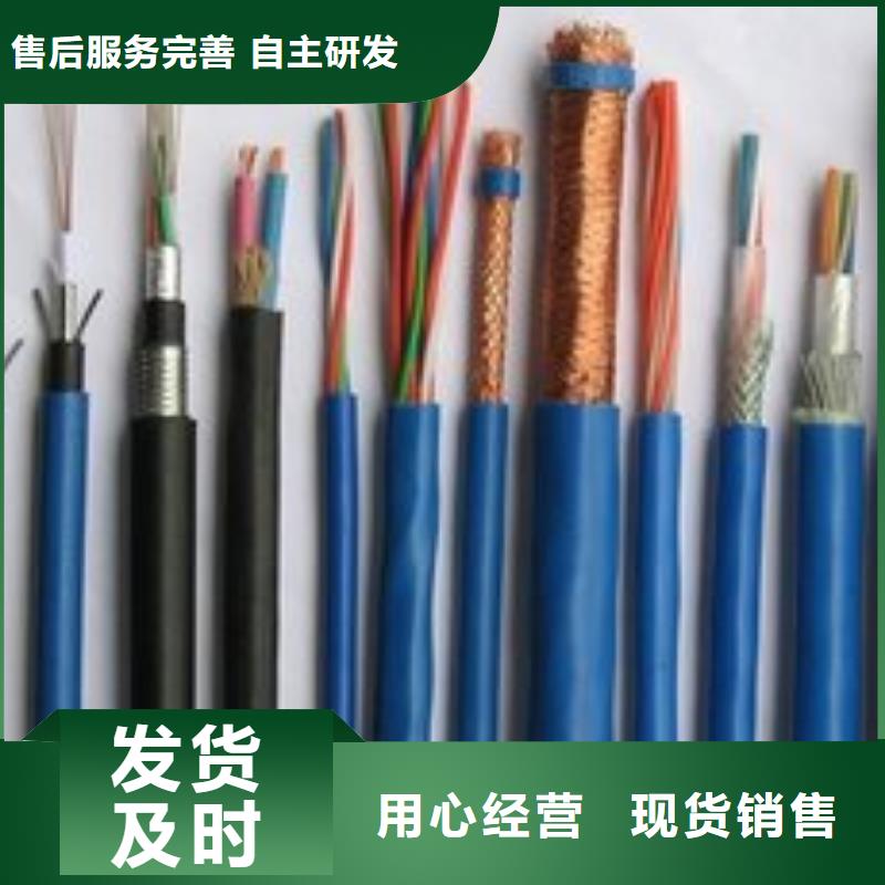 电线电缆RS485电缆发货迅速