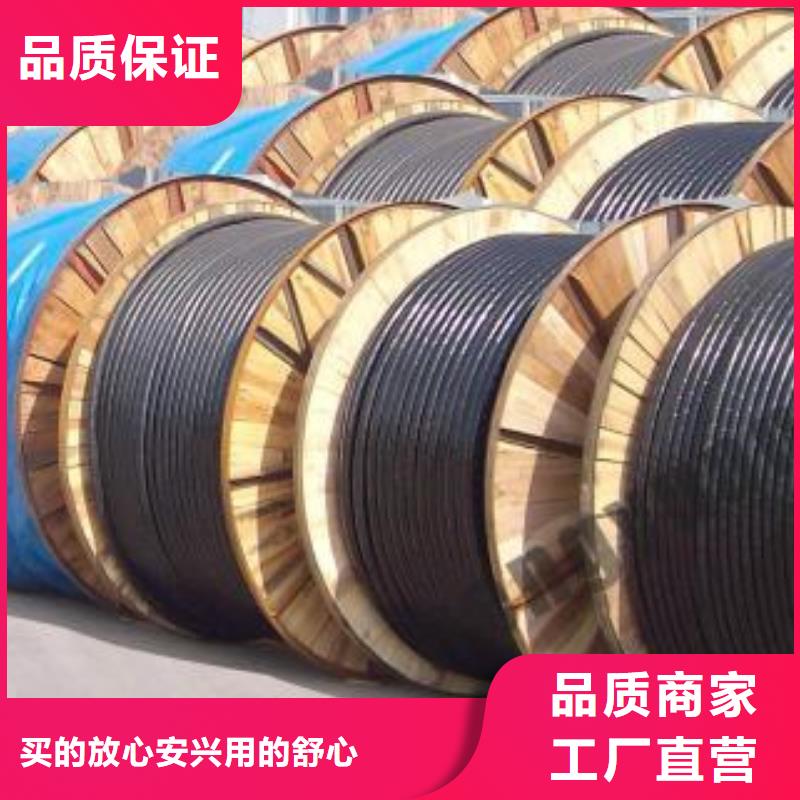 电线电缆RS485电缆发货迅速