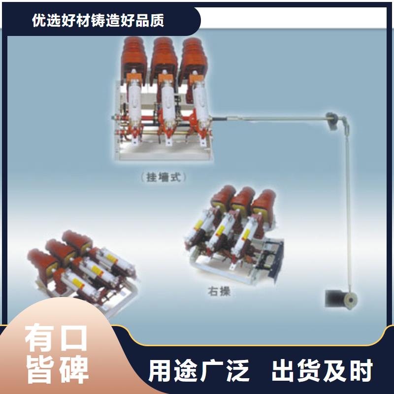 FN12-12RD/125-31.5高压负荷开关质保