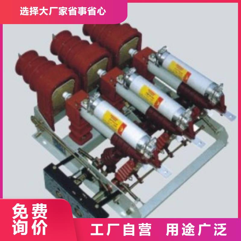 FZRN21-12/125-31.5高压负荷开关价格