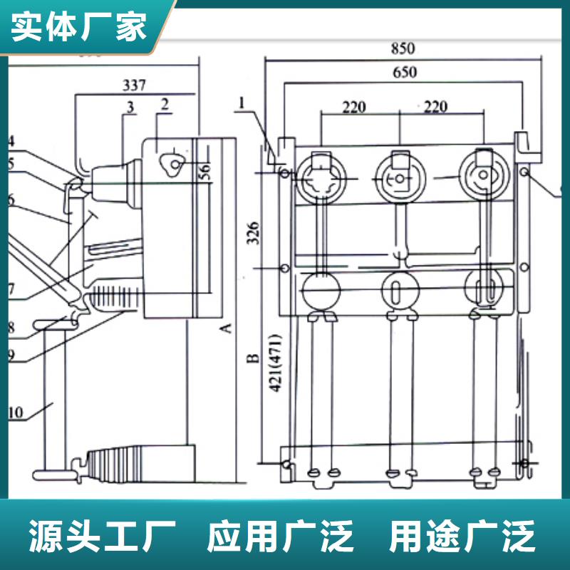FN12-12RD/125-31.5高压负荷开关质保