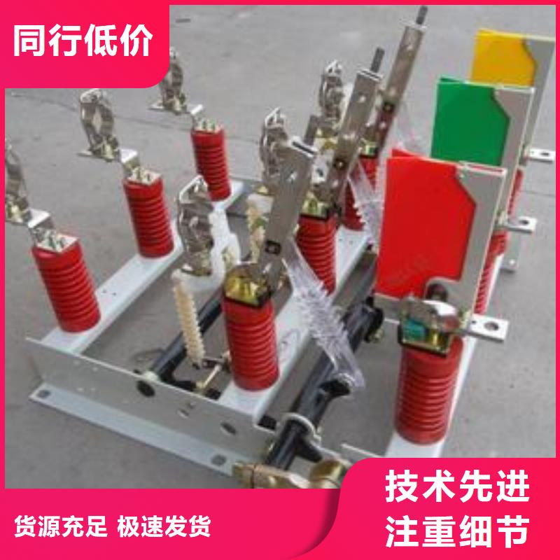FN12-12RD/125-31.5高压负荷开关质保