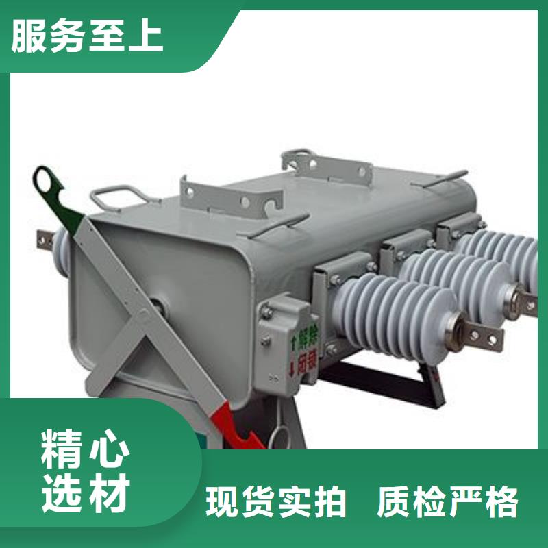 FZRN21-12/125-31.5高压负荷开关价格