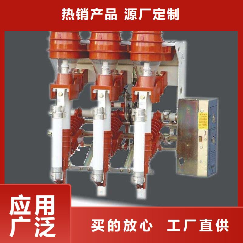 FN12-12RD/125-31.5高压负荷开关质保