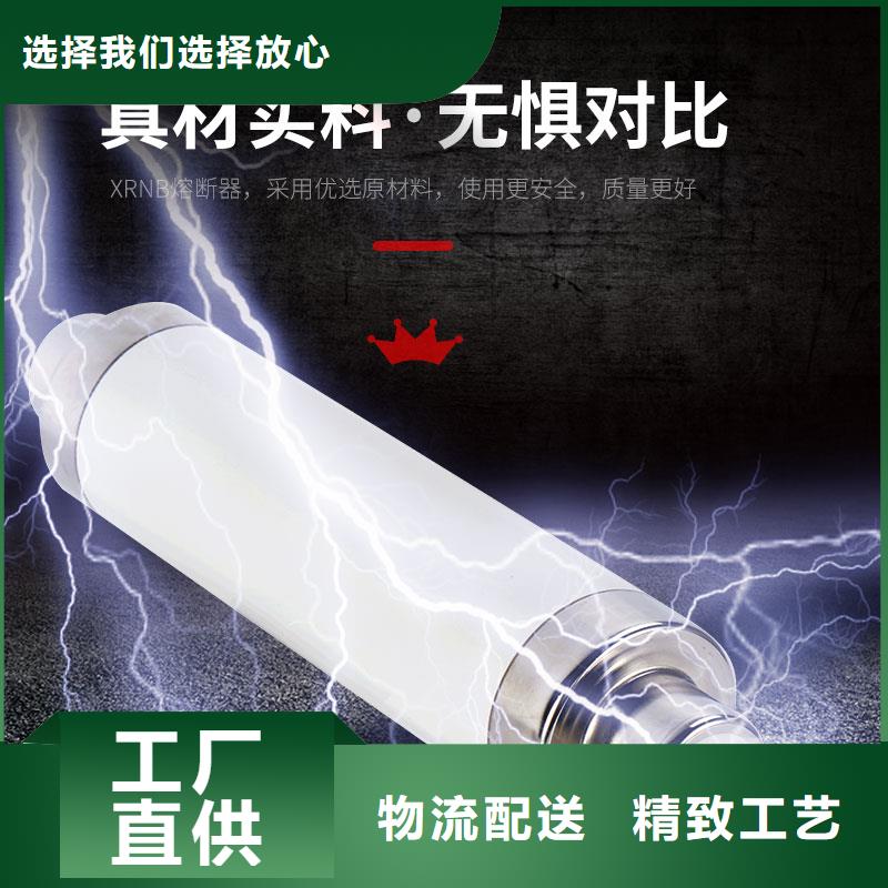 XRNM-10KV高压熔断器