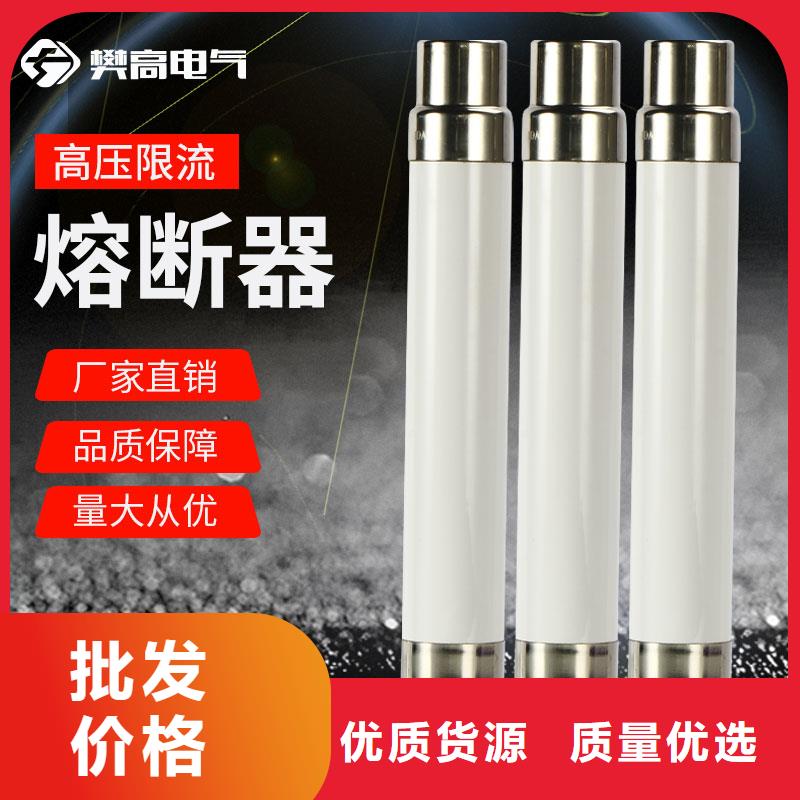 XRNP-35/0.5A熔断器