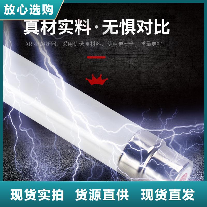 XRNP-40.5/0.5A限流熔断器万宁市