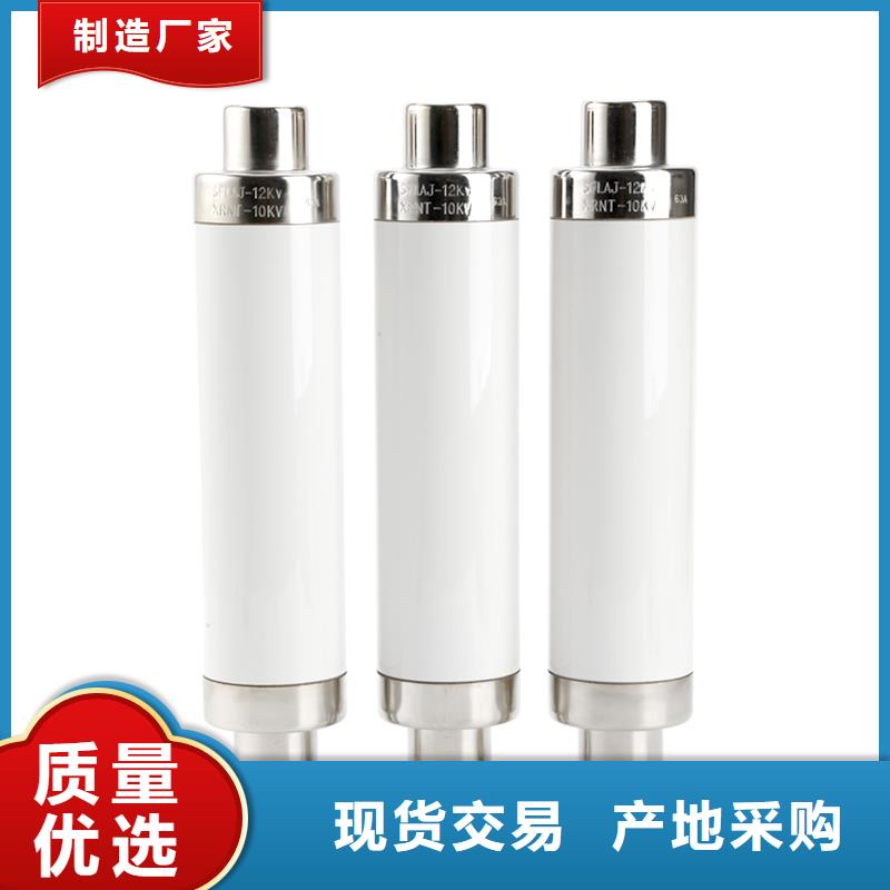 XRNM-10KV高压熔断器
