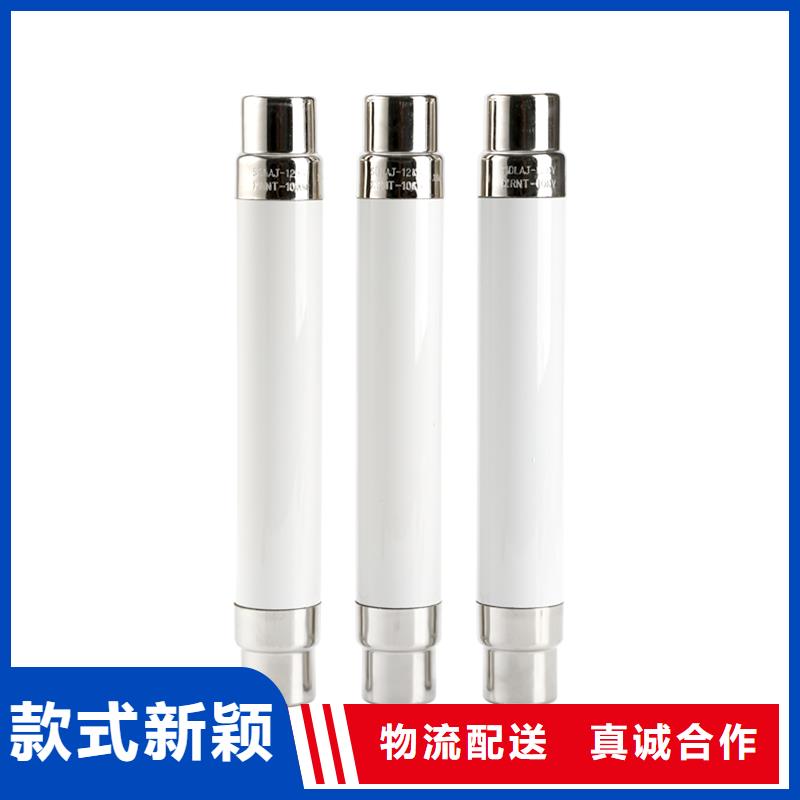 XRNP-40.5/0.5A限流熔断器万宁市