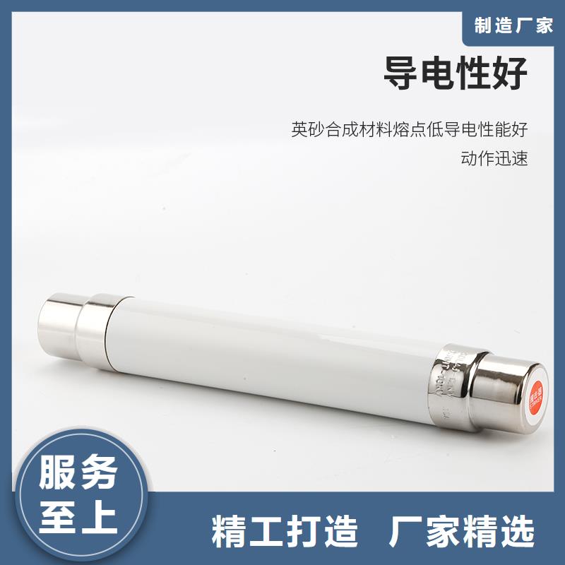 BRN-10/10A双管限流熔断器